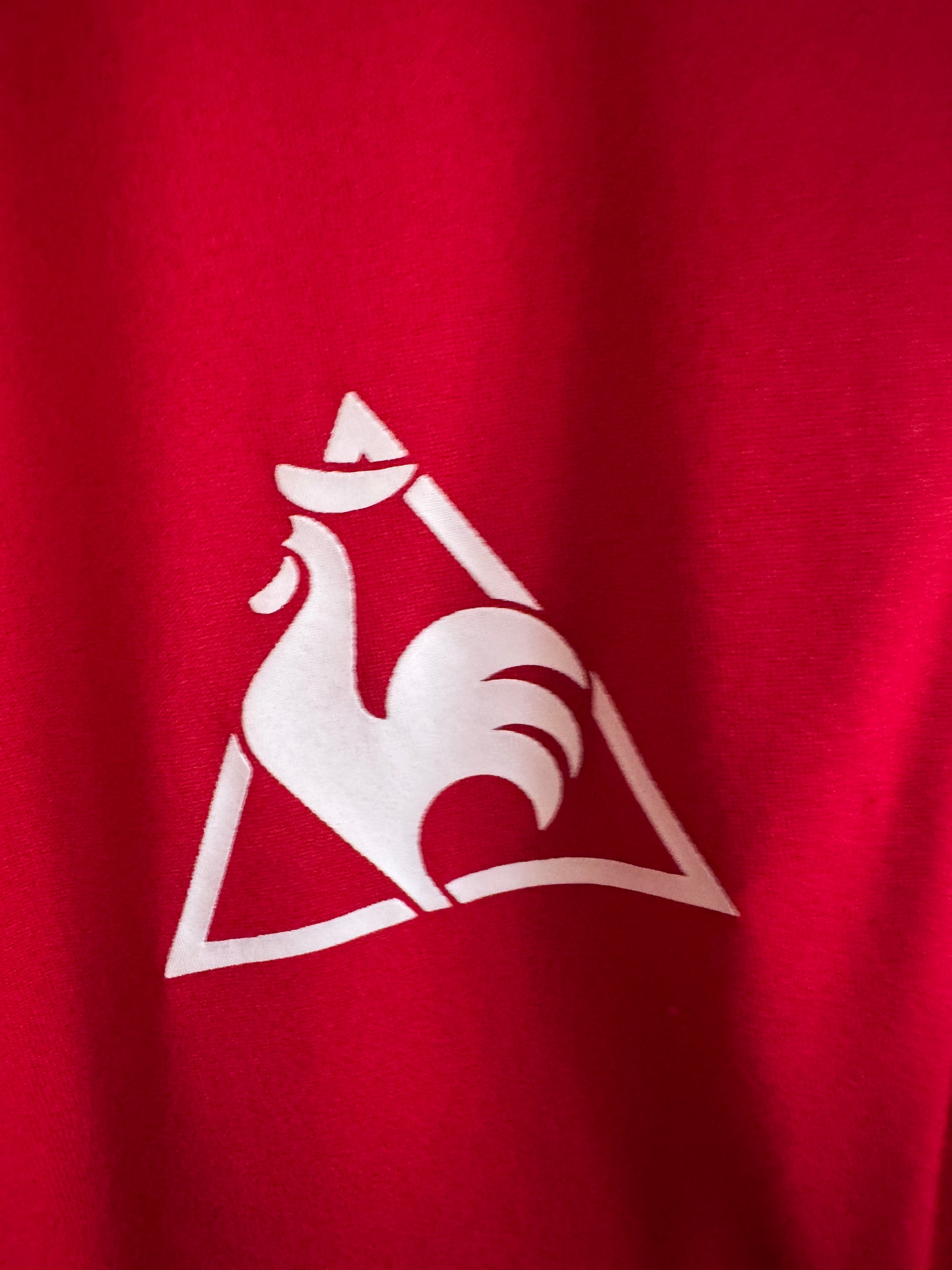 Stoke City 🏴󠁧󠁢󠁥󠁮󠁧󠁿 2008-09 Le Coq Sportif 1/4 Zip