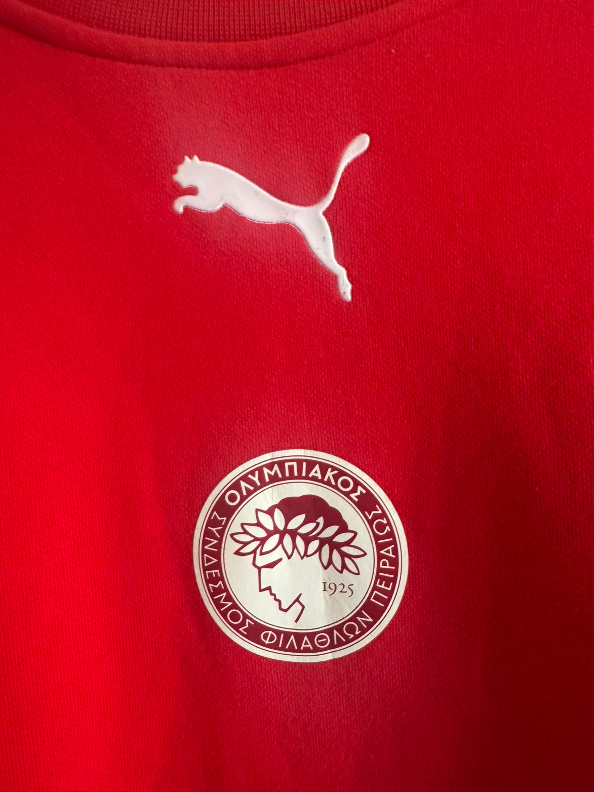 Olympiakos 🇬🇷 2008-09 Puma Sweatshirt