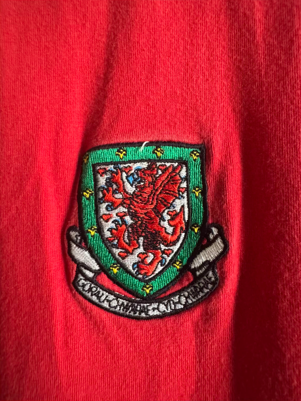 Wales 🏴󠁧󠁢󠁷󠁬󠁳󠁿 2004-06 Kappa Training Tee